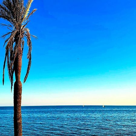 Estudio Francisco Agata Benalmadena Luaran gambar